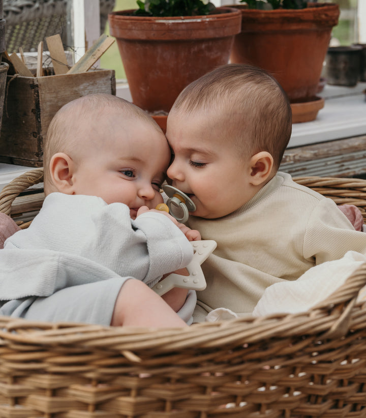 Bibs - Colour Pacifier - Ivory / Sage