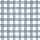blue-gingham