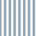 blue-stripe