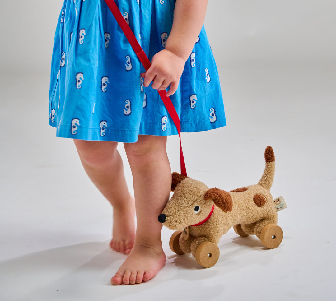 Tender Leaf - Dudley Pull Along Dog - Mabel & Fox