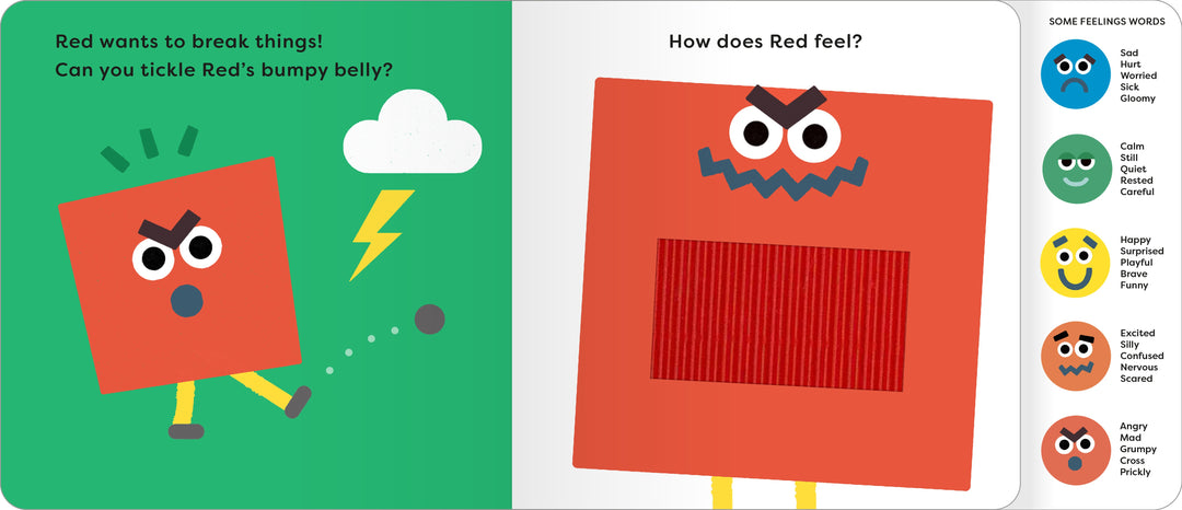 The Feelings Book - Touch & Feel Emotions
