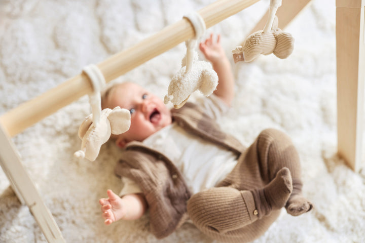Jollein - Babygym Toys - Elephant Tales