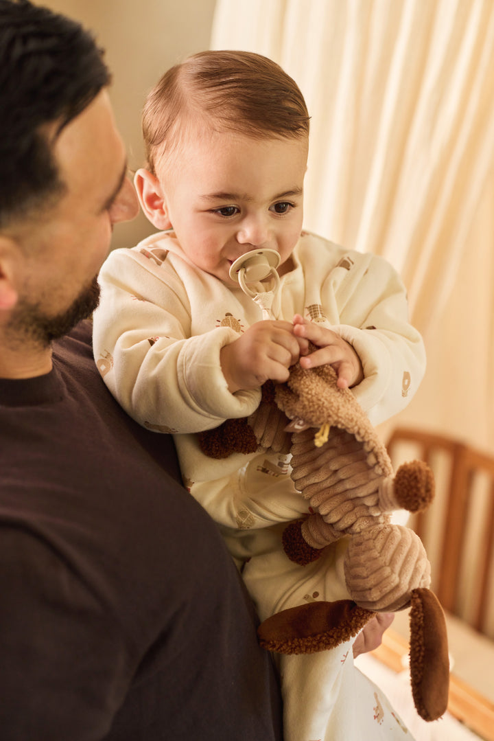 Jollein - Pacifier Cloth - Diego