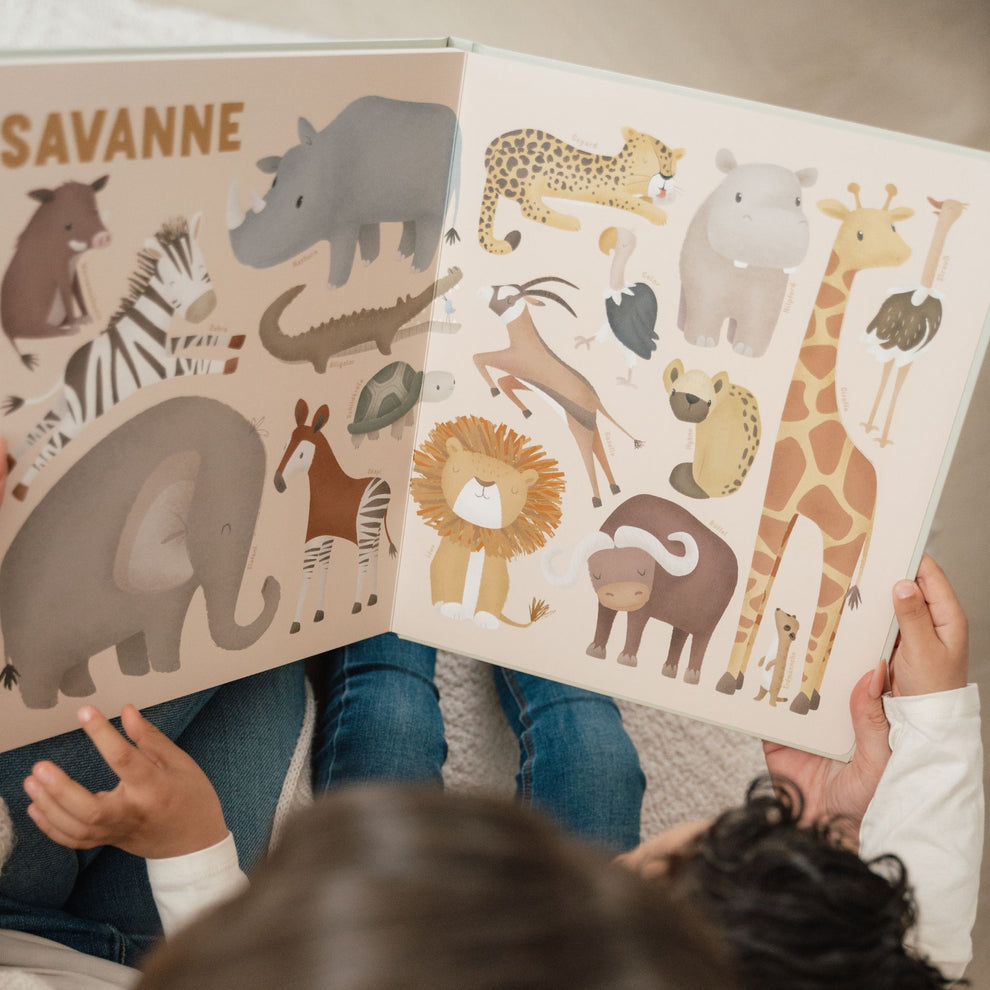Little Dutch - My First Animal Book