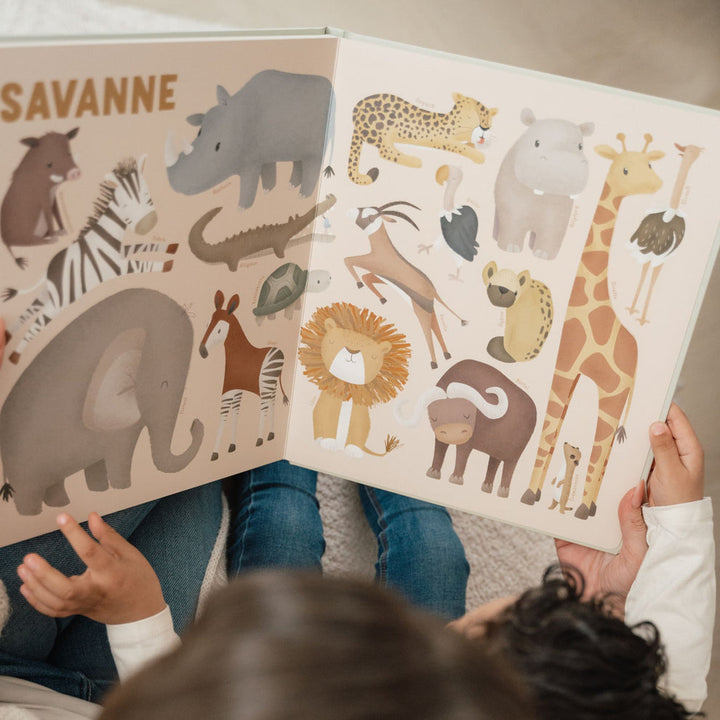 Little Dutch - My First Animal Book