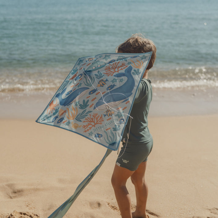 Little Dutch - Diamond Kite - Ocean World