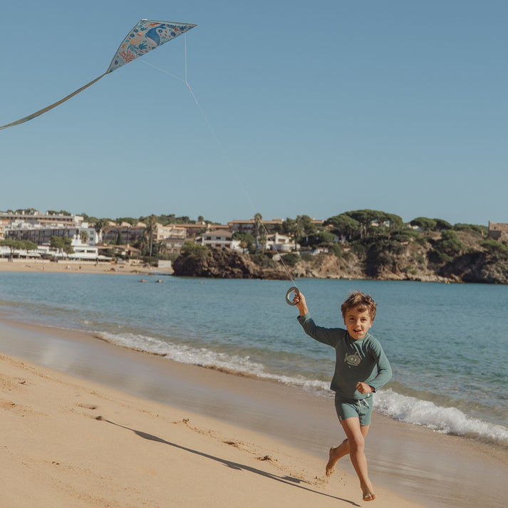 Little Dutch - Diamond Kite - Ocean World