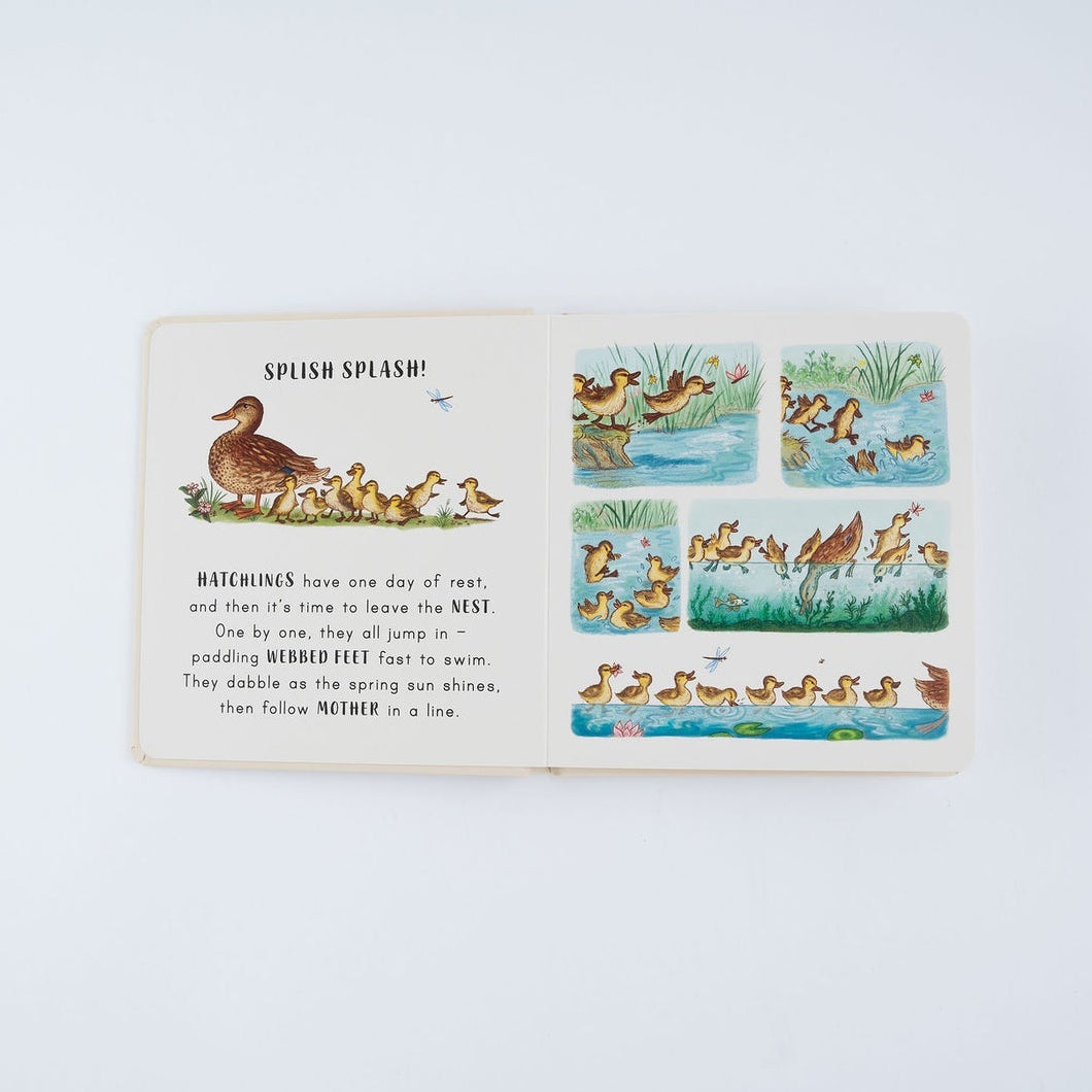 Slow Down... In The Park