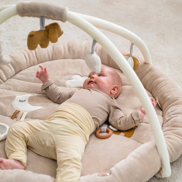 Nattou - Stuffed Playmat with Arches - Charlie the Dog - Mabel & Fox
