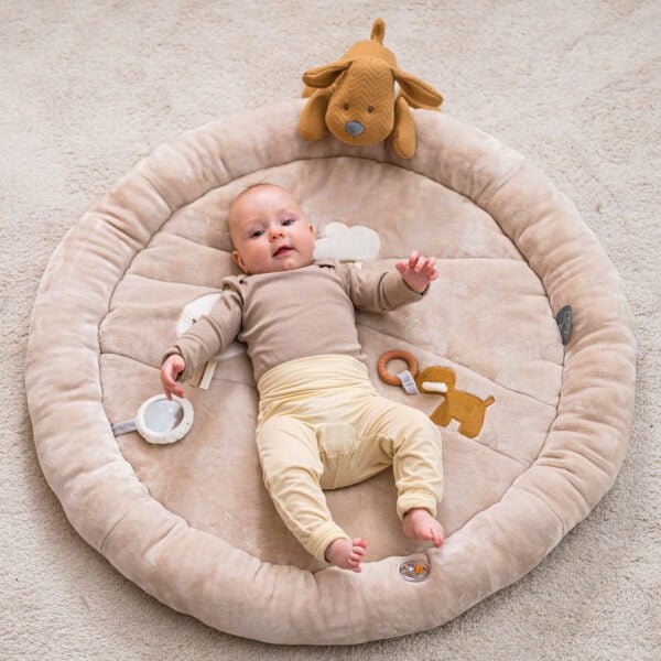 Nattou - Stuffed Playmat with Arches - Charlie the Dog - Mabel & Fox