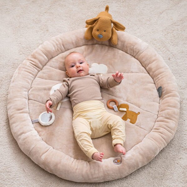 Nattou - Stuffed Playmat with Arches - Charlie the Dog