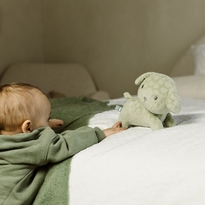Little Dutch x Miffy - Snuffie Cuddle - Green Flower 25cm