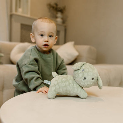 Little Dutch x Miffy - Snuffie Cuddle - Green Flower 25cm
