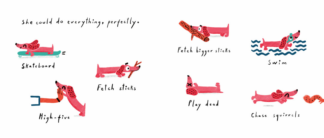The Dog Who Was (Almost) Perfect