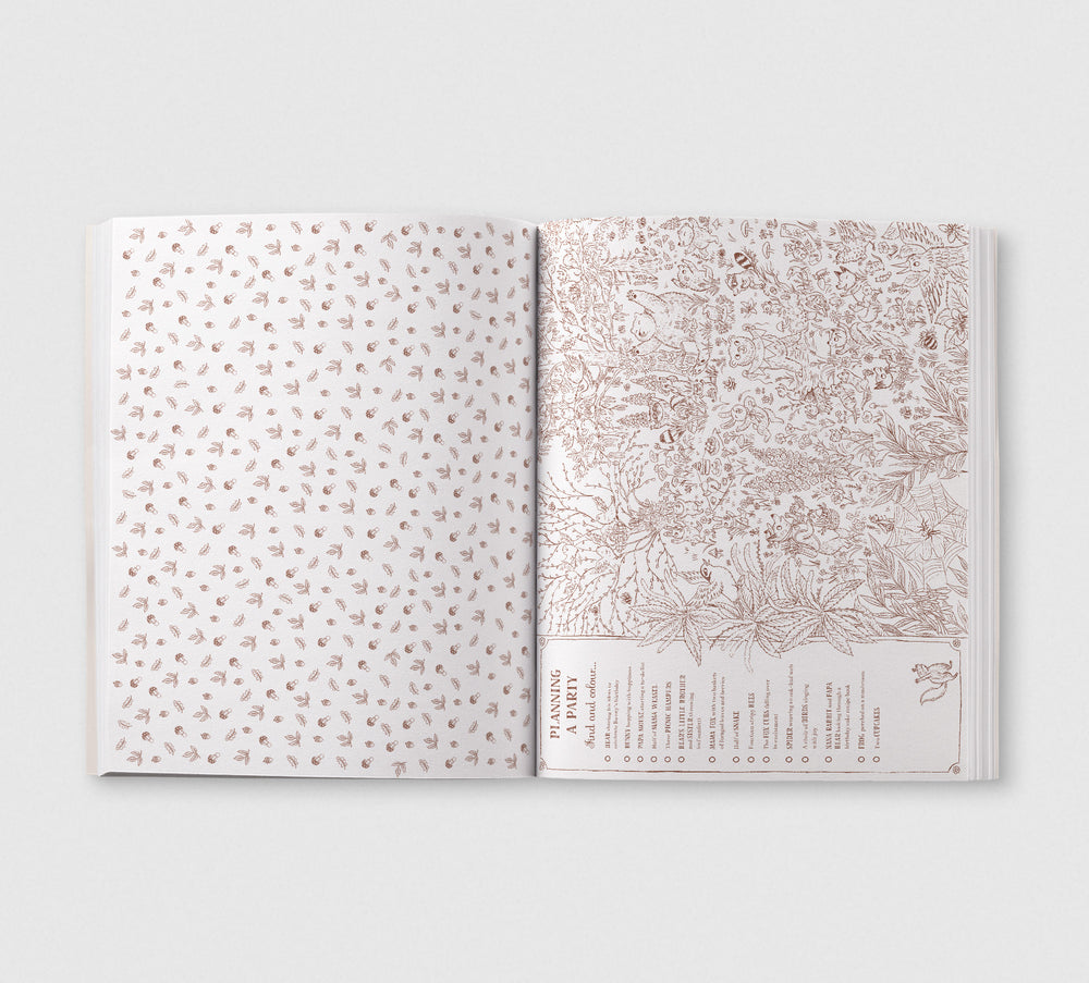 Brown Bear Wood - Colouring & Spotting Book - Colour Them In, Hang Them Up! - Mabel & Fox