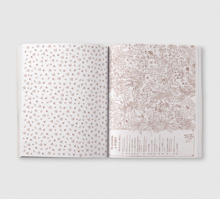 Brown Bear Wood - Colouring & Spotting Book - Colour Them In, Hang Them Up! - Mabel & Fox