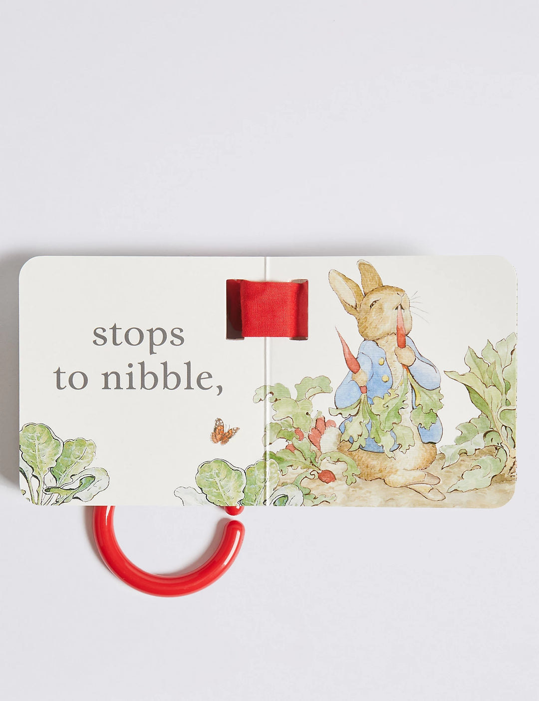 Buggy Book Peter Rabbit