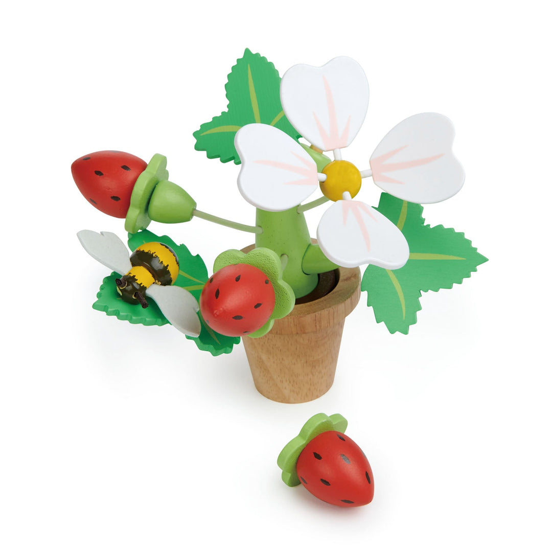 Tender Leaf - Strawberry Flower Pot - Mabel & Fox