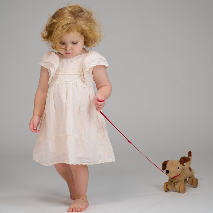 Tender Leaf - Dudley Pull Along Dog - Mabel & Fox