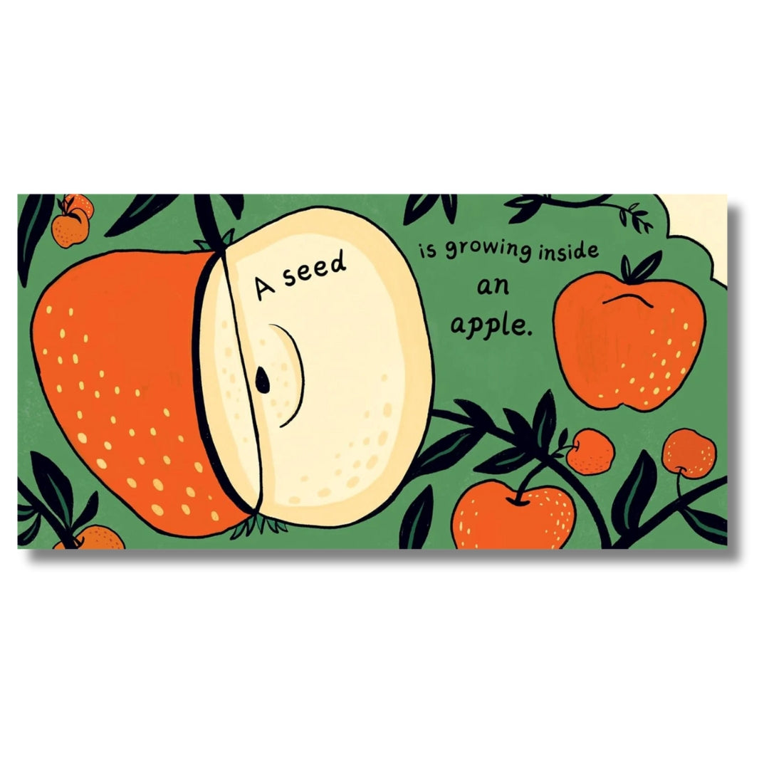 A Seed in the Universe - Mabel & Fox