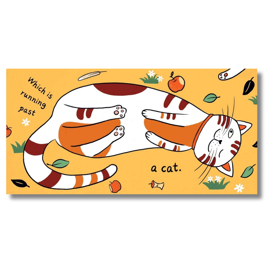 A Seed in the Universe - Mabel & Fox