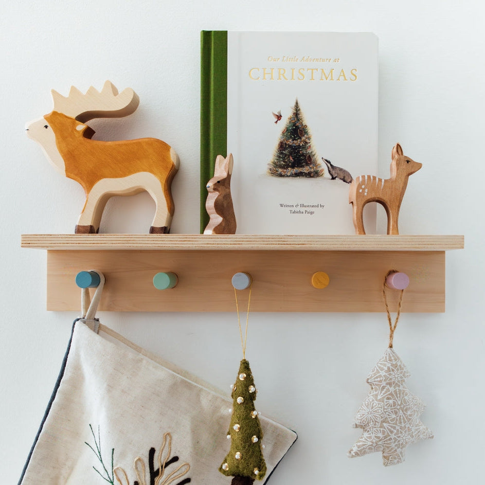 Our Little Adventure at Christmas (Baby's First Christmas) - Mabel & Fox