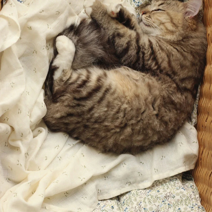 Avery Row - Organic Baby Large Muslin Swaddle - Nettle Scatter - Mabel & Fox