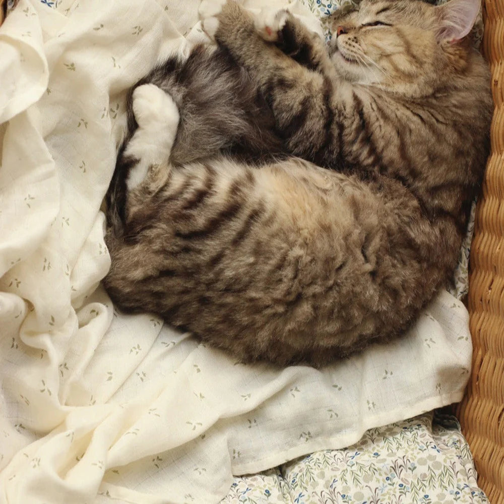 Avery Row - Organic Baby Large Muslin Swaddle - Nettle Scatter - Mabel & Fox