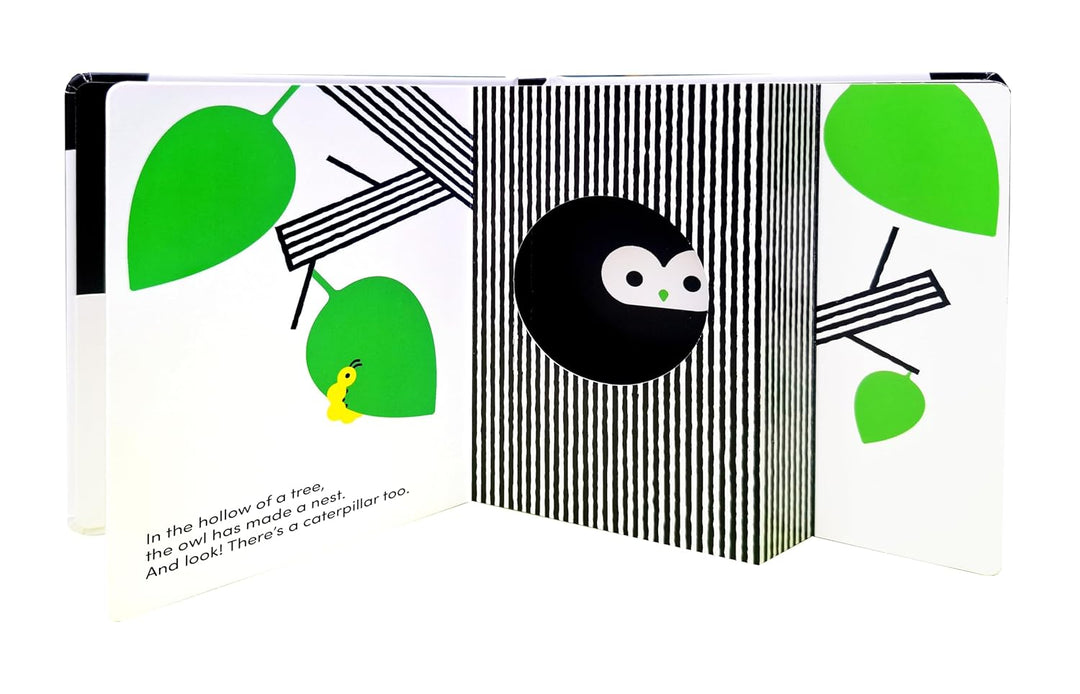 Baby Basics: Animals at Home - Mabel & Fox