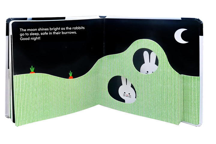 Baby Basics: Animals at Home - Mabel & Fox