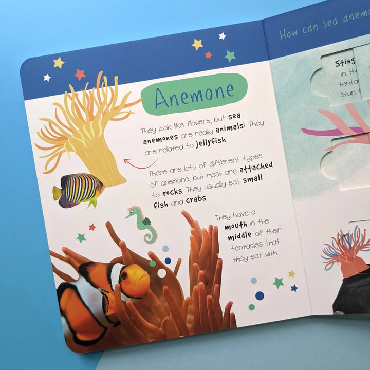 Little Wonders Puzzle Slider Book - Ocean Animals
