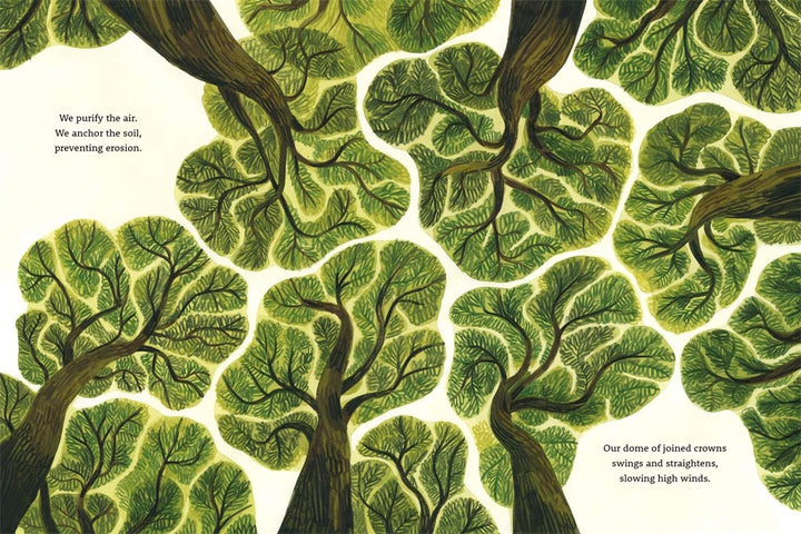 Be a Tree! - Mabel & Fox