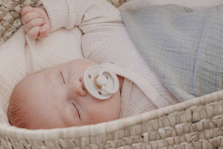 Bibs - Colour Pacifier - Ivory / Sage - Mabel & Fox