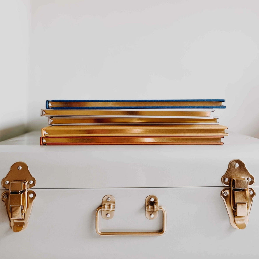 Blush & Gold - Baby Memory Book - Safari - Mabel & Fox