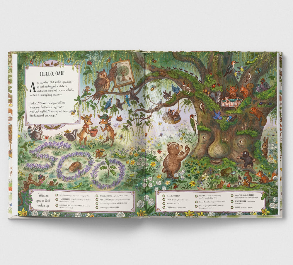 Brown Bear Wood - Grand Old Oak And The Birthday Ball - Mabel & Fox