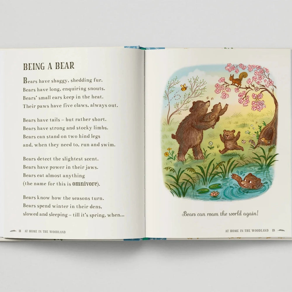Brown Bear Wood - Wisdom of the Woods: 40 Poems To Treasure - Mabel & Fox
