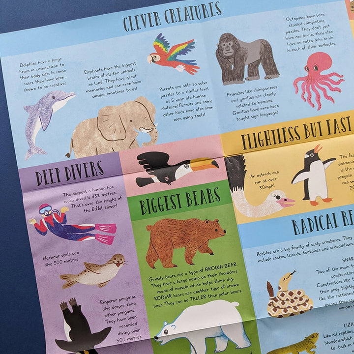 Question and Answer Flap Book - Animals
