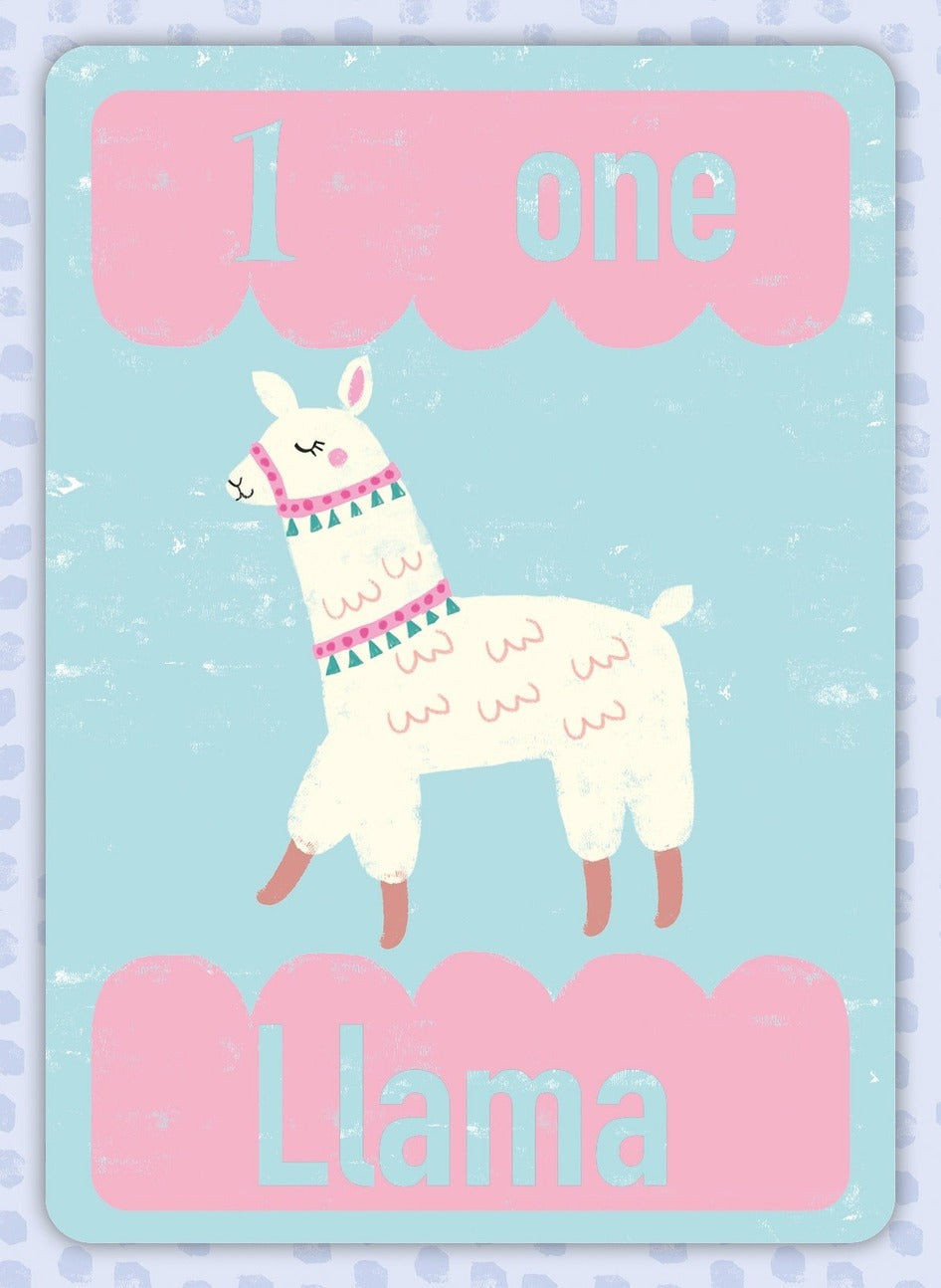 Children’s First Learning Playtime Pals - Flash Cards - Mabel & Fox