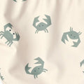 crab-sandy