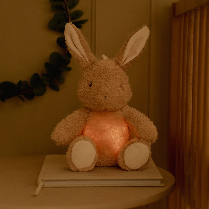 Little Dutch - Light & Sound Cuddle Bunny
