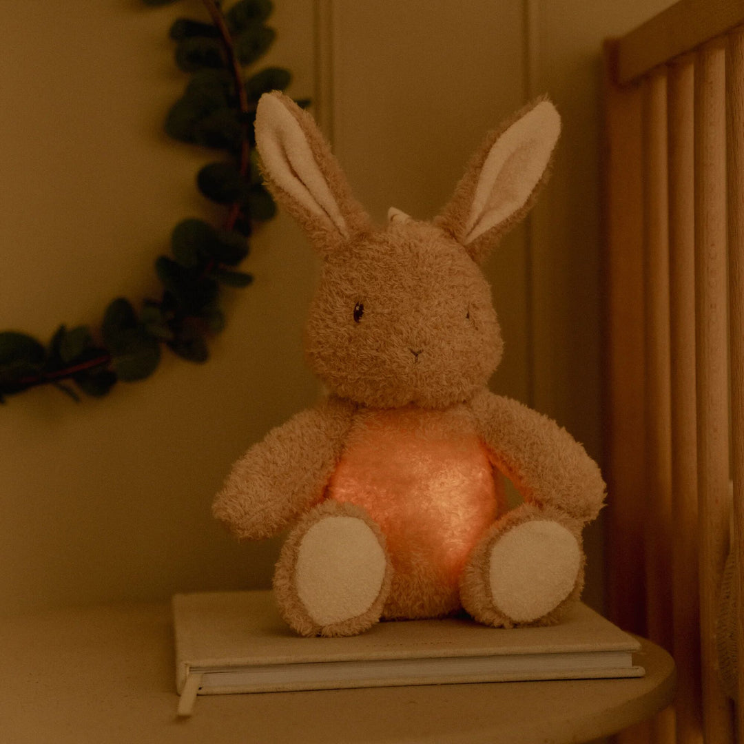 Little Dutch - Light & Sound Cuddle Bunny