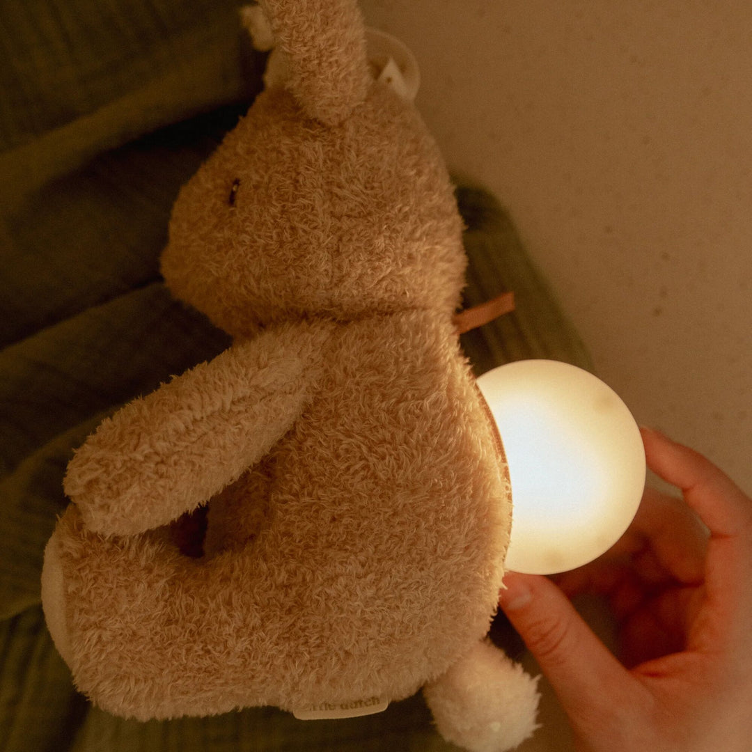 Little Dutch - Light & Sound Cuddle Bunny