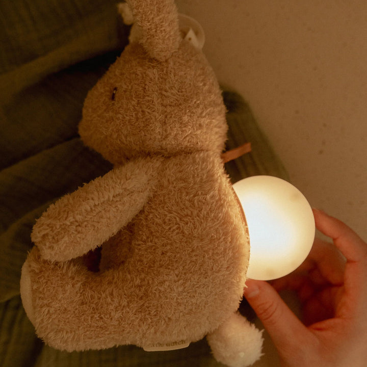 Little Dutch - Light & Sound Cuddle Bunny
