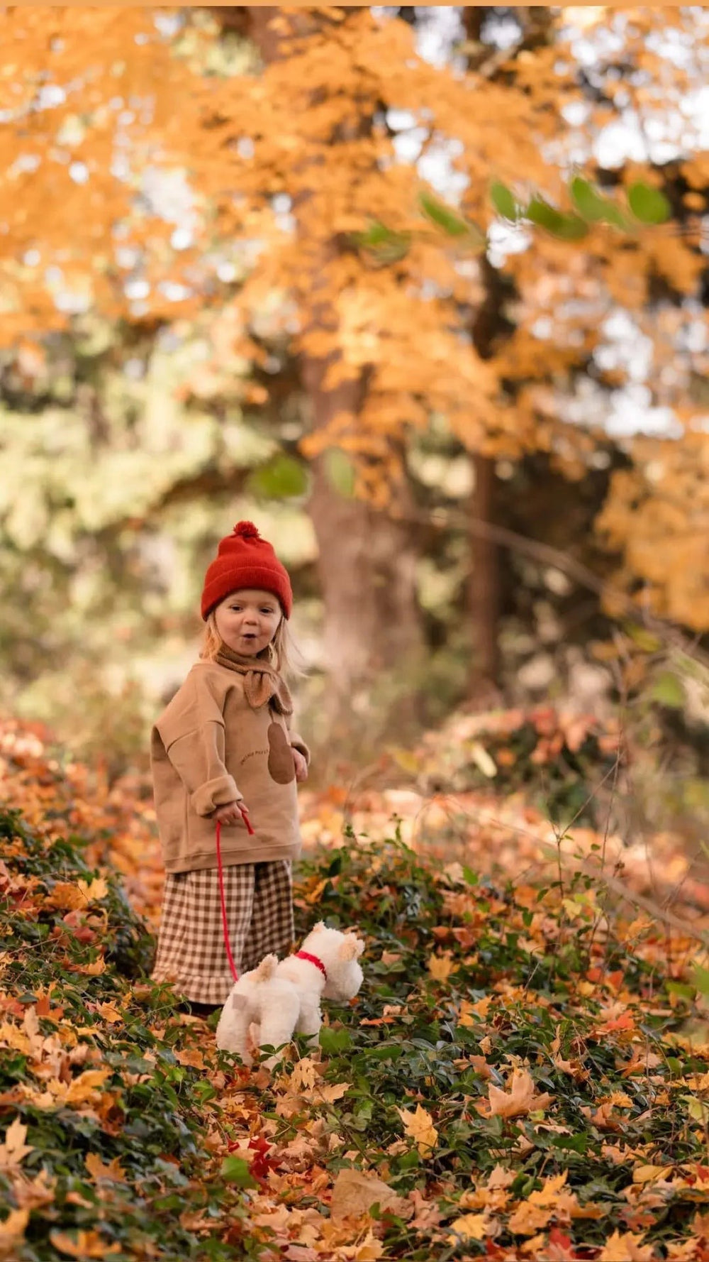 Egmont Toys - Pull Along Elliot Dog - Mabel & Fox