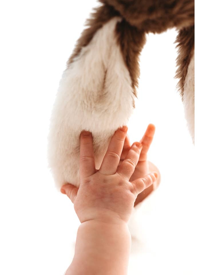 Designs By A Little Bit Of Hope - Snuggle Teddy -  Little Brown Bunny - Mabel & Fox