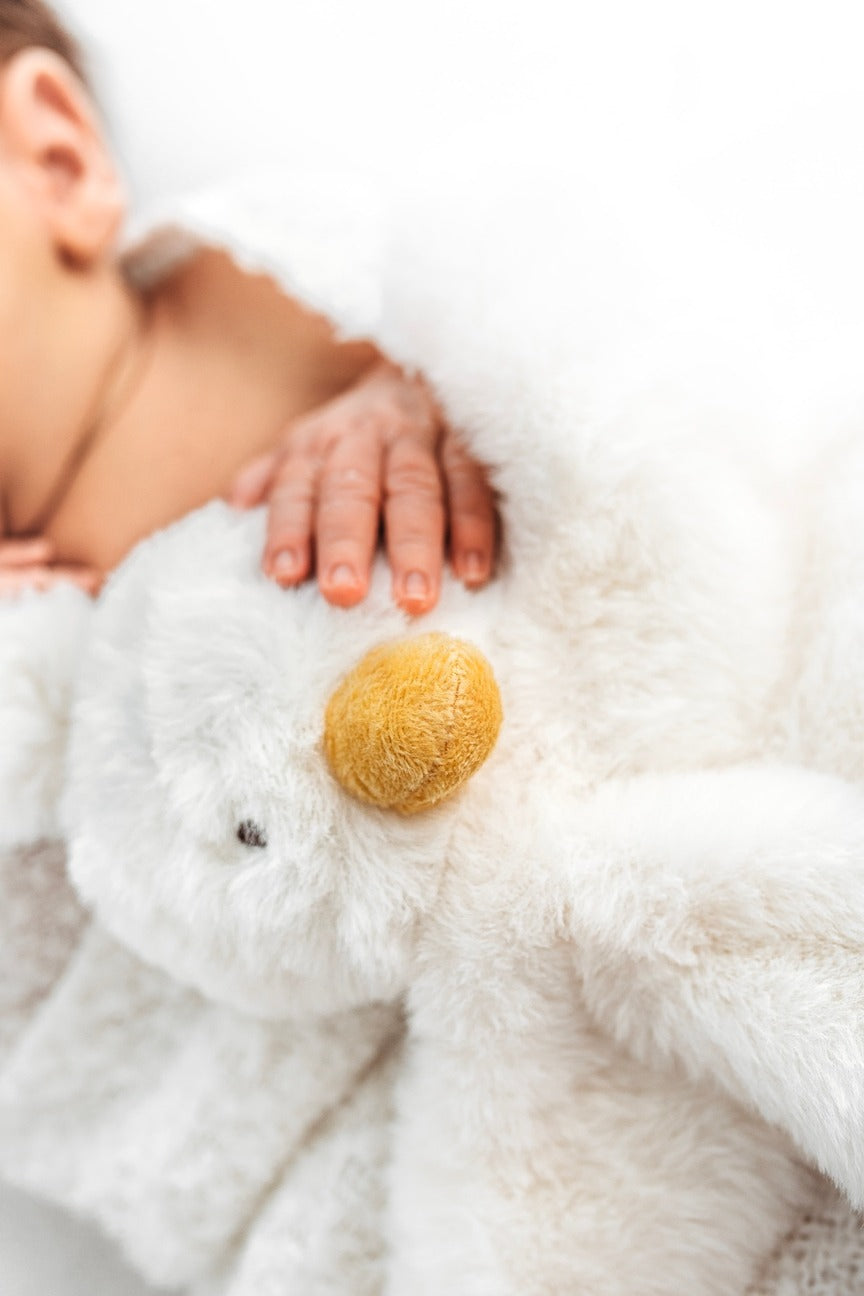 Designs By A Little Bit Of Hope - Snuggle Teddy - Little Goosey - Mabel & Fox