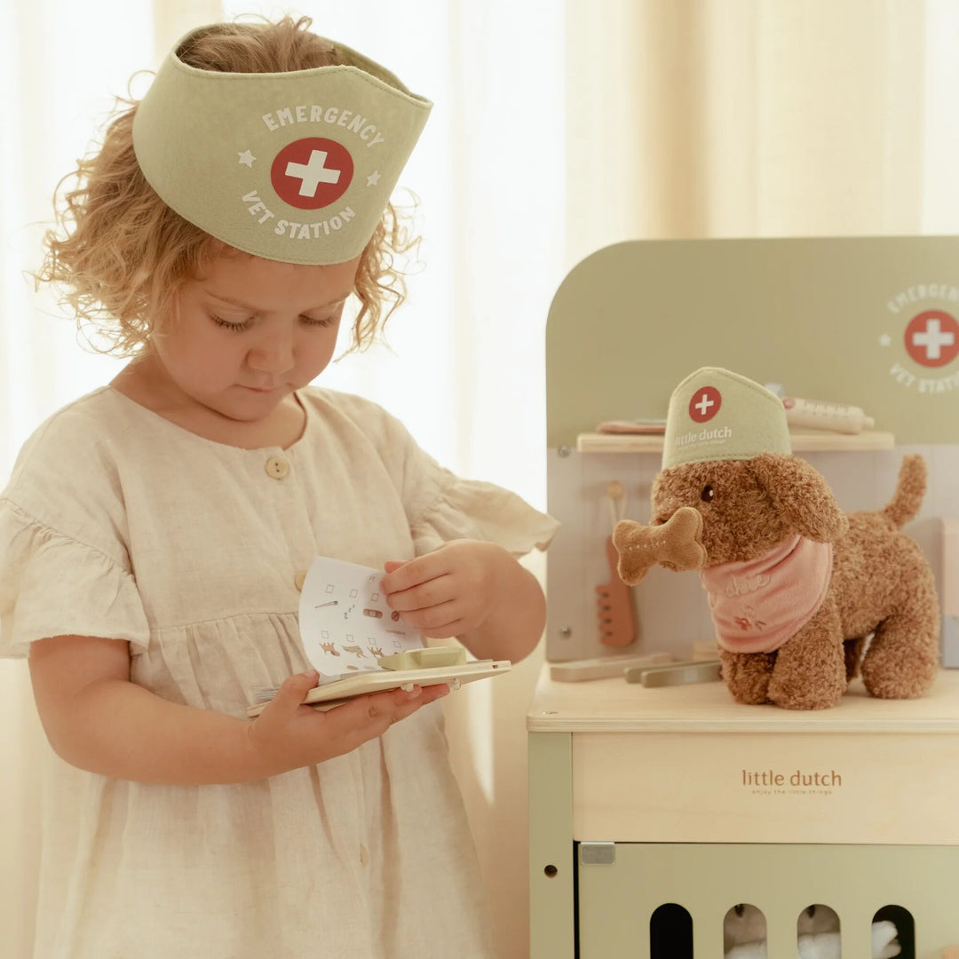 Little Dutch - Veterinary Practice