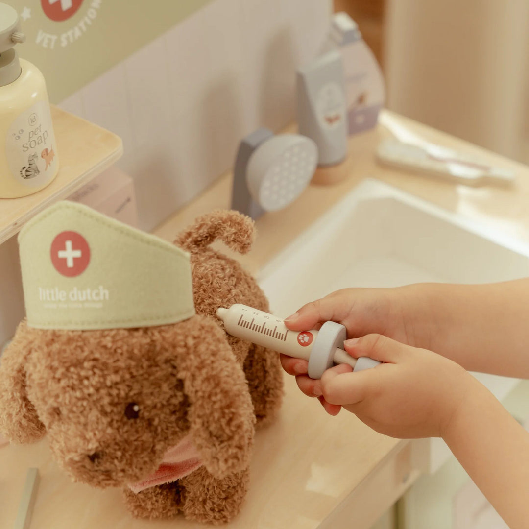 Little Dutch - Veterinary Practice