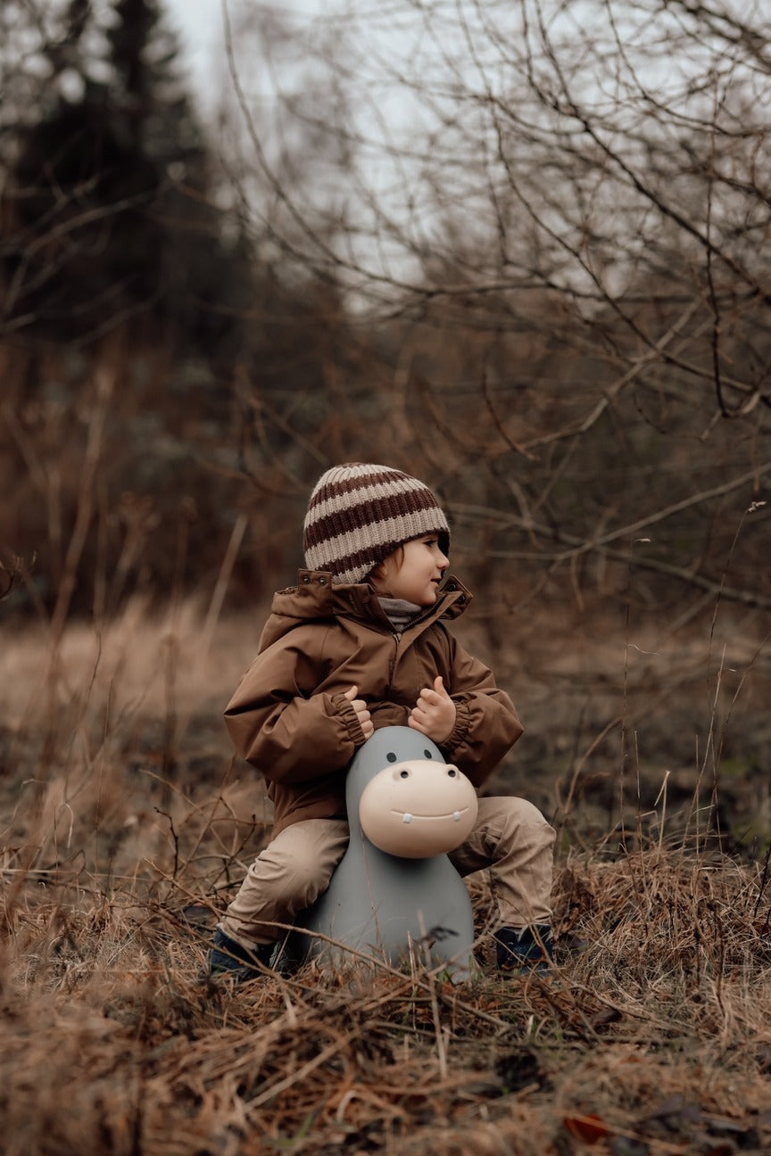 Find That Hippo - Hopping Animal - Hippo