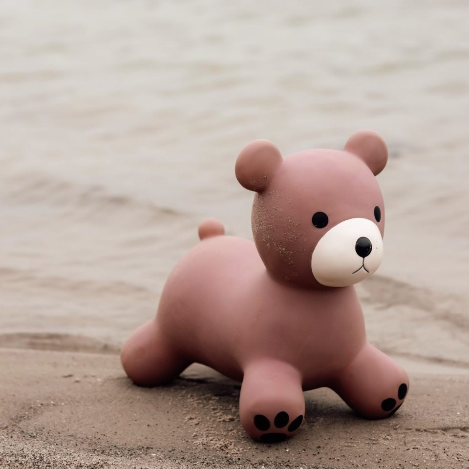 Find That Hippo - Hopping Animal - Bear - Mabel & Fox